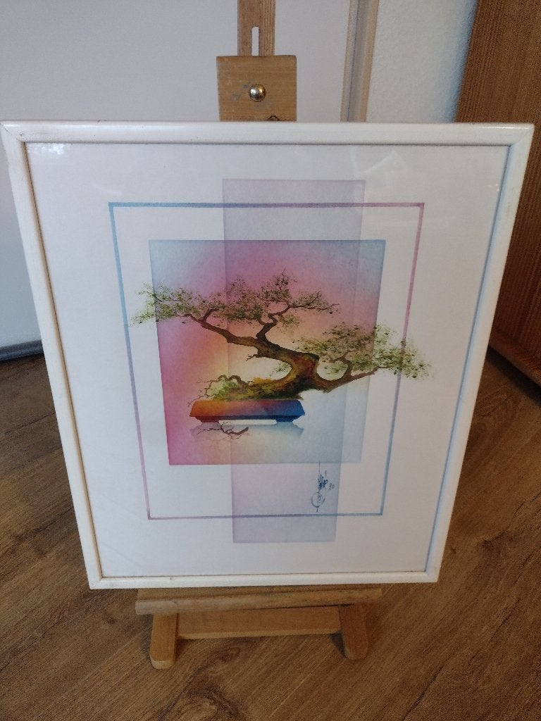 bonsai boompje werk is gesigneerd zit achter glas, Antiek en Kunst, Ophalen of Verzenden