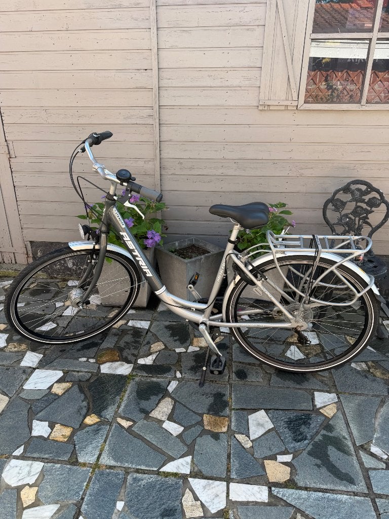 Damesfiets, Ophalen, Gebruikt, Versnellingen