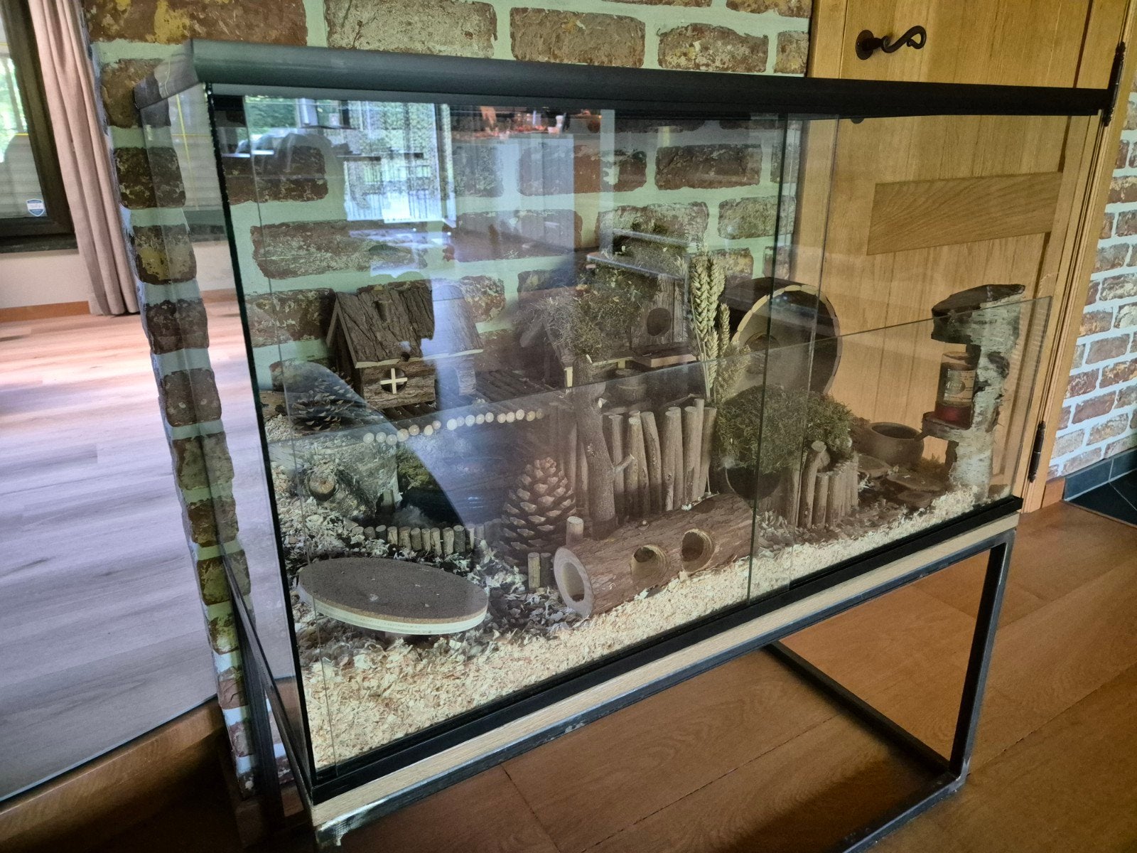 Hamster terrarium / hamsterkooi, Dieren en Toebehoren, Ophalen, Hamster