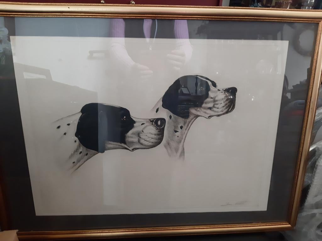 Gravure Dalmatiërs,  Jean Herblet, Antiek en Kunst, Ophalen