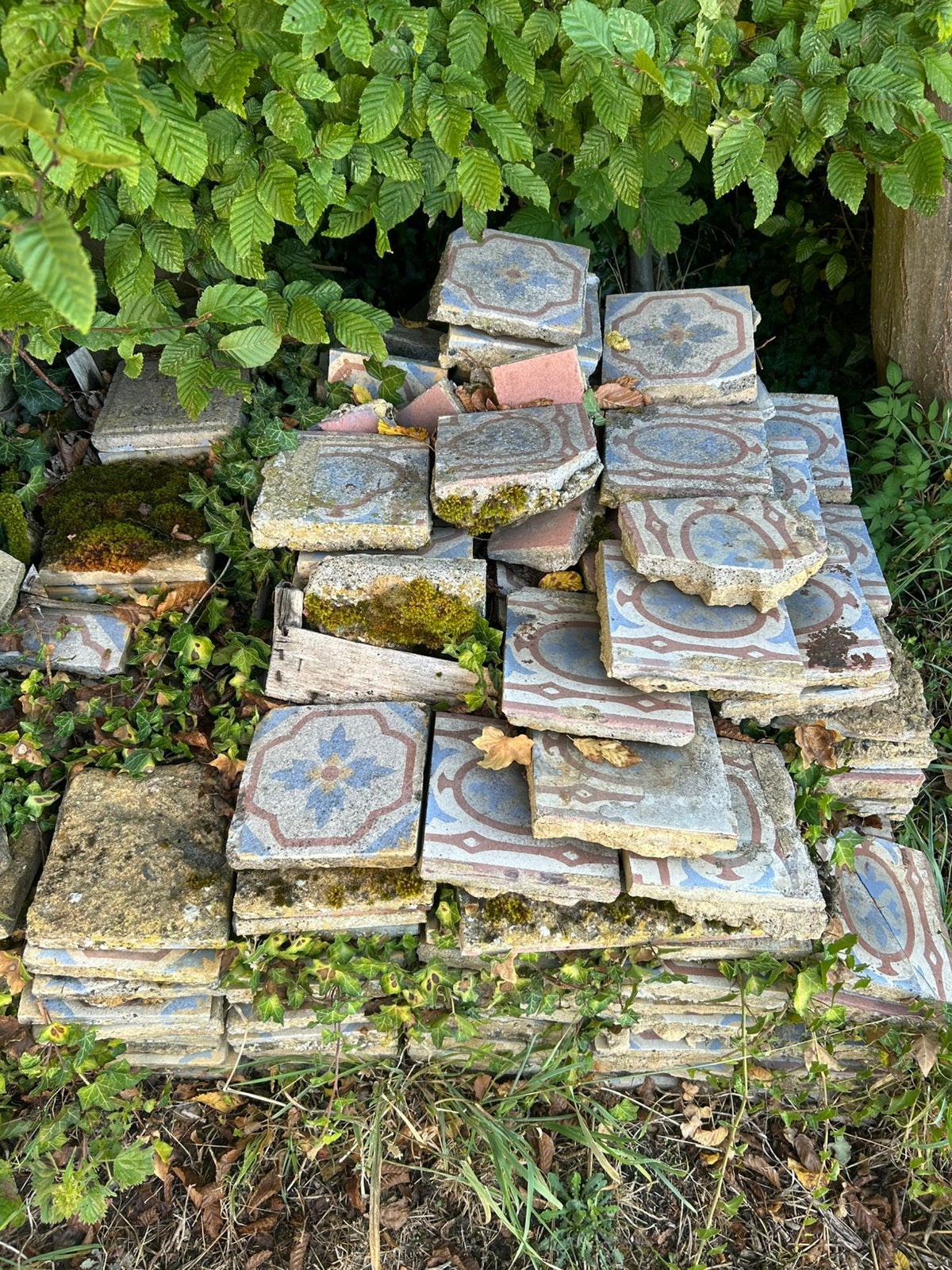 Carreaux de ciment, Enlèvement