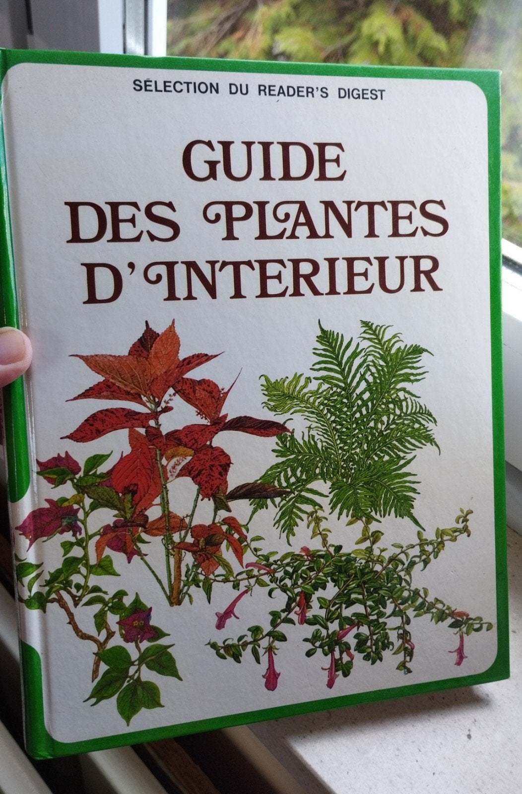 guide des plantes d'intérieur, Enlèvement ou Envoi, Plantes d'intérieur
