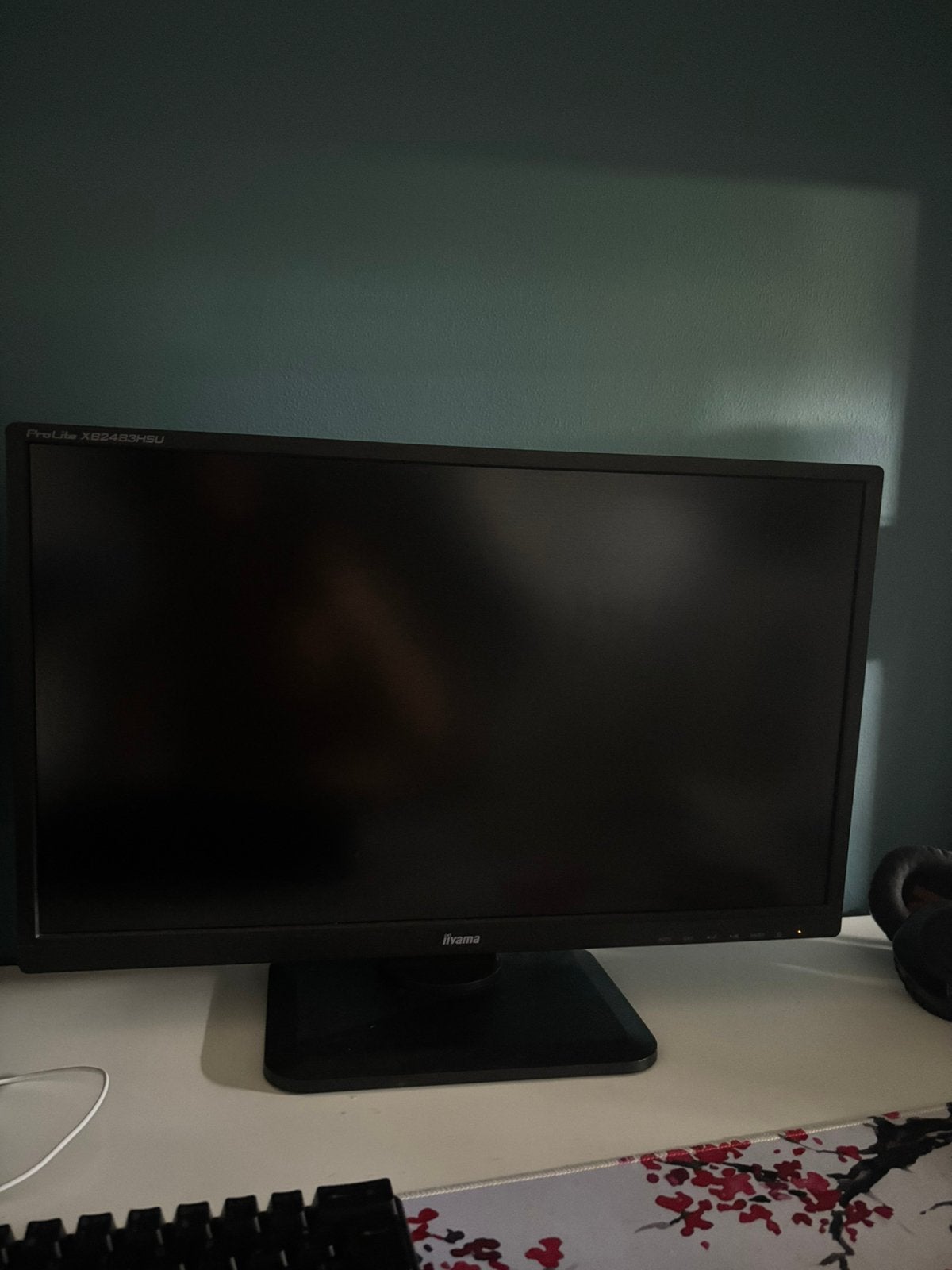 Iiyama monitor, Computers en Software, Monitoren, Ophalen, Zo goed als nieuw, HD, DVI