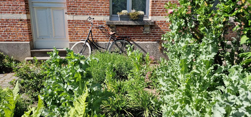 Vintage Achielle damesfiets, Ophalen, Gebruikt, Overige merken, Versnellingen