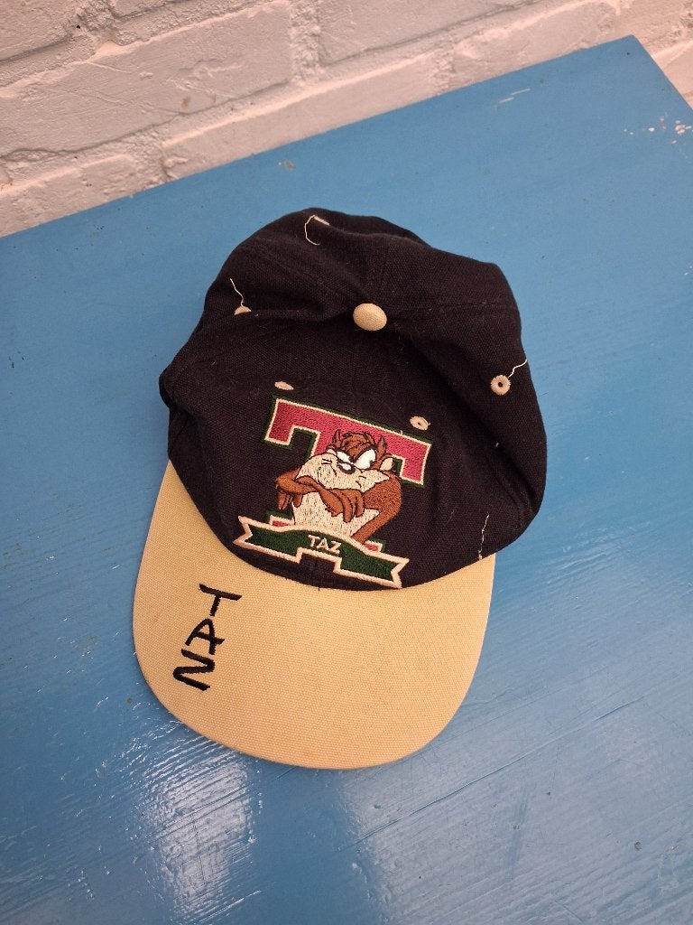 kinderpet Tazmanian Devil, Kinderen en Baby's, Kinderkleding | Petten en Hoeden, Ophalen of Verzenden, Gebruikt, Jongen of Meisje