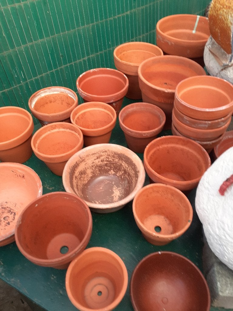 Pots en terre cuite (Lot), Moins de 25 cm, Enlèvement, Utilisé, Intérieur