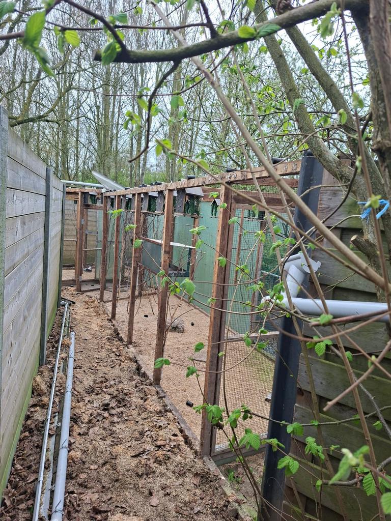 Vogelhokken, Dieren en Toebehoren, Vogels | Hokken en Kooien, Ophalen, Gebruikt, Hout, Volière