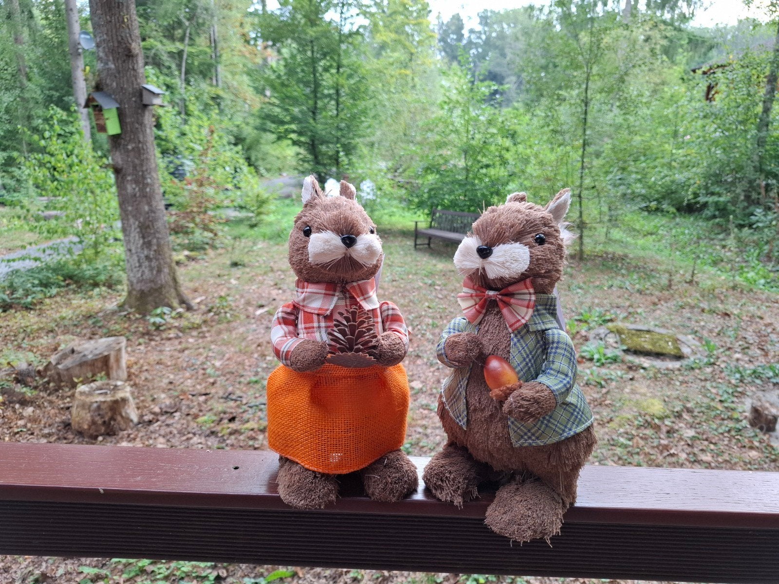 Vakantie in de Ardennen? Chalet te huur., Vacances, Propriétaire