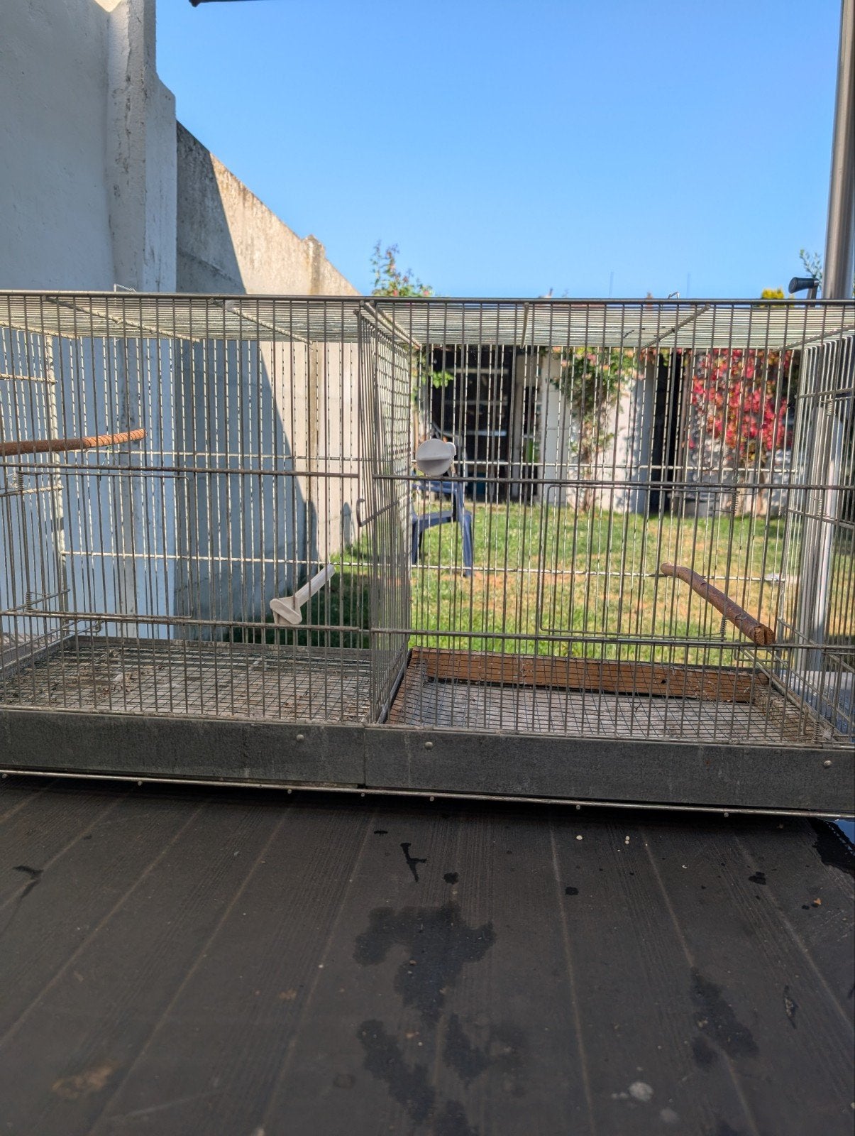 Cage oiseaux, Animaux & Accessoires, Enlèvement