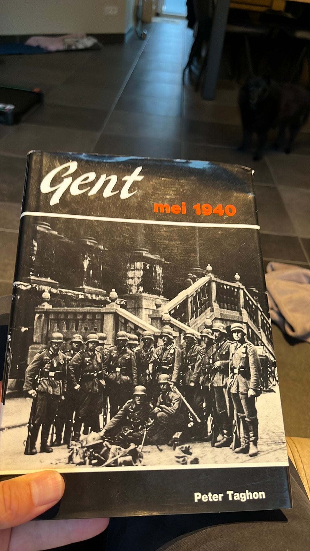 Gent Mei 1940, Ophalen of Verzenden, Algemeen, Tweede Wereldoorlog, Gelezen