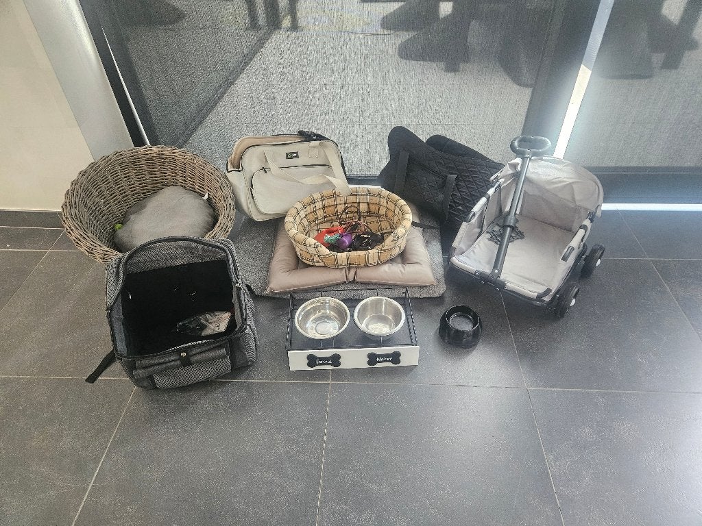 Volledige kleine hond uitzet te koop., Particulier, Belgique, Maladie de Carré (chiens), 6 ans ou plus