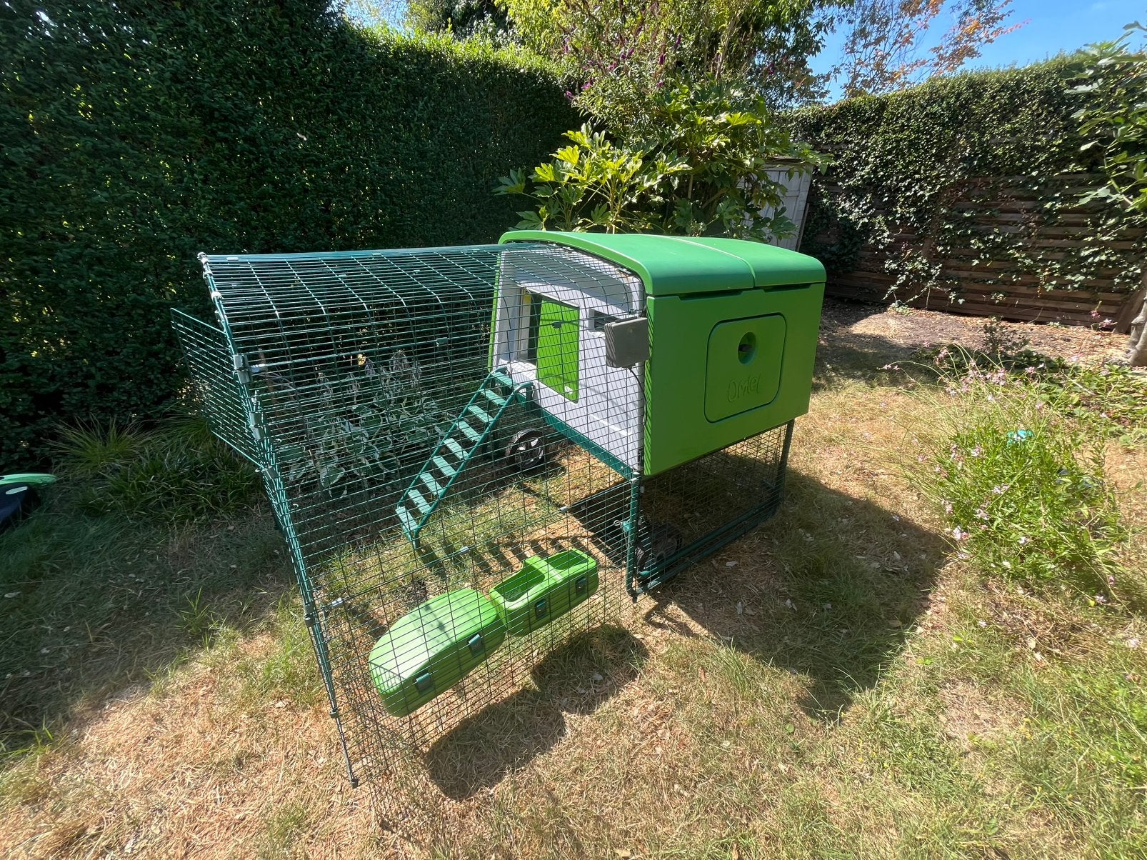Omlet eglu cube kippenhok met automatische deur, Enlèvement, Utilisé