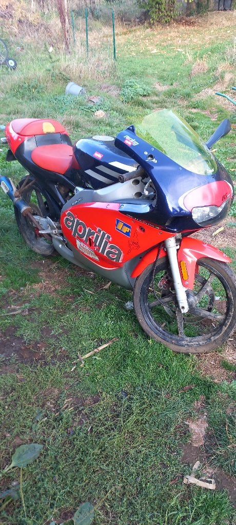 Titre : Aprilia RS 50 Extrema / Replica 1999 (Type PGA), Occasion, Particulier, 50 cm³