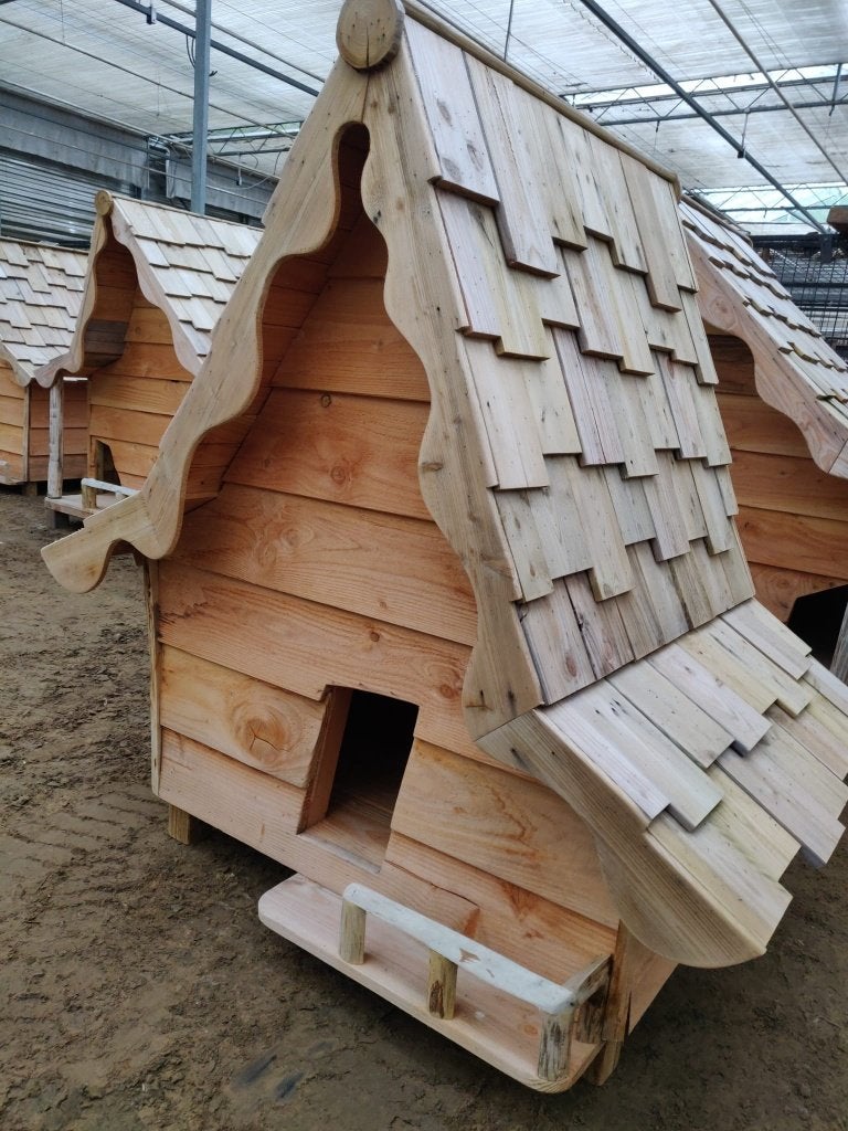 KIPPEHOK KOOPDAGEN AUGUSTUS, Dieren en Toebehoren, Pluimvee | Toebehoren, Ophalen, Nieuw, Kippenhok of Kippenren