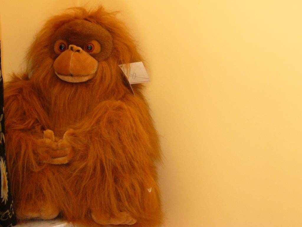 Nieuwe pluche aap orang oetan van 40 cm hoogte, Nieuw, Ophalen of Verzenden, Met label, Middelgroot (20 tot 80 cm)