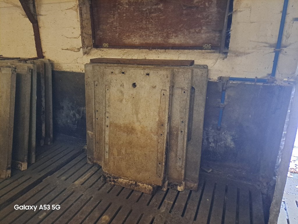 Betonnen muren, Dieren en Toebehoren, Opfok