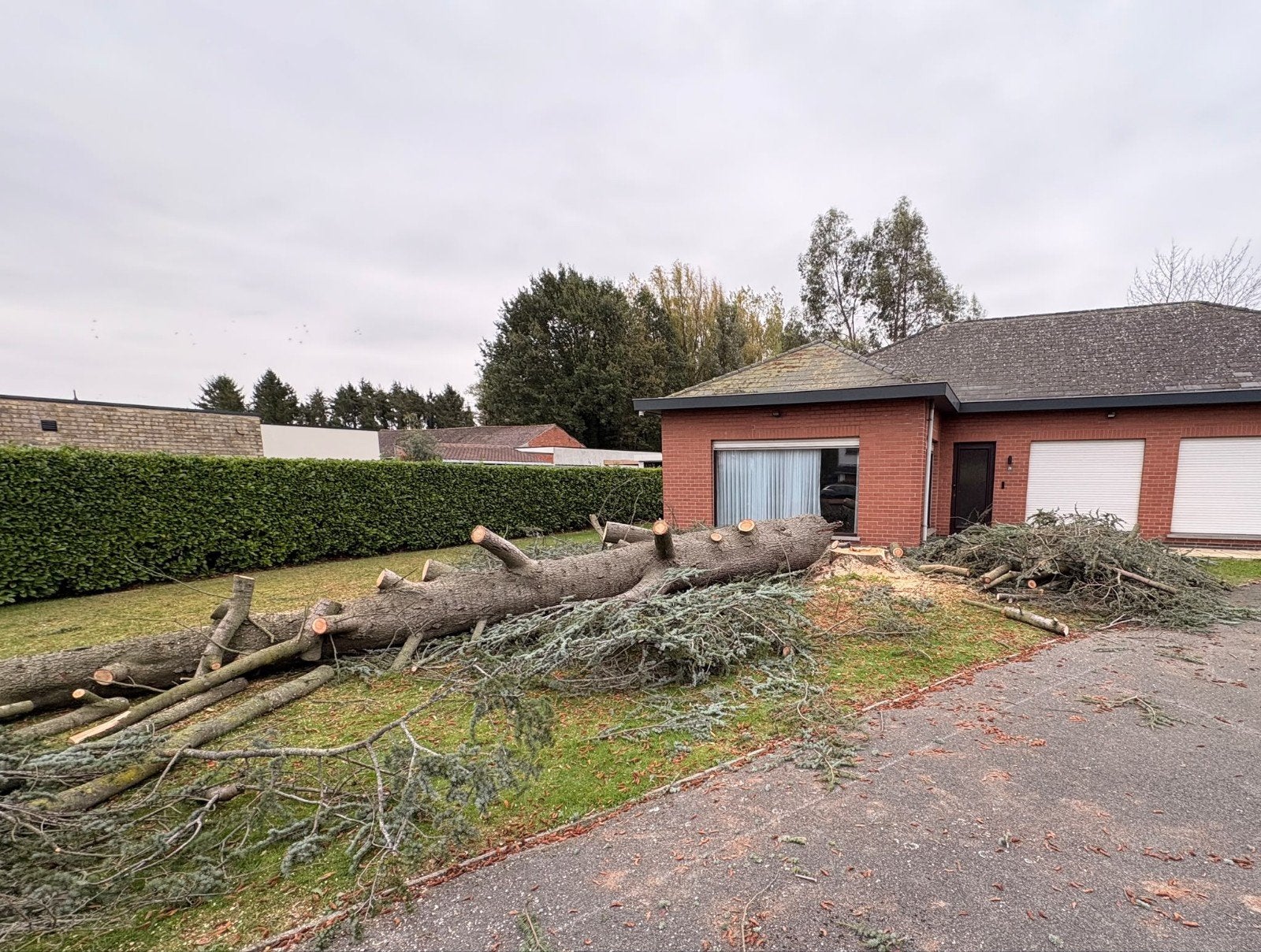 gratis brandhout., Tuin en Terras, Ophalen