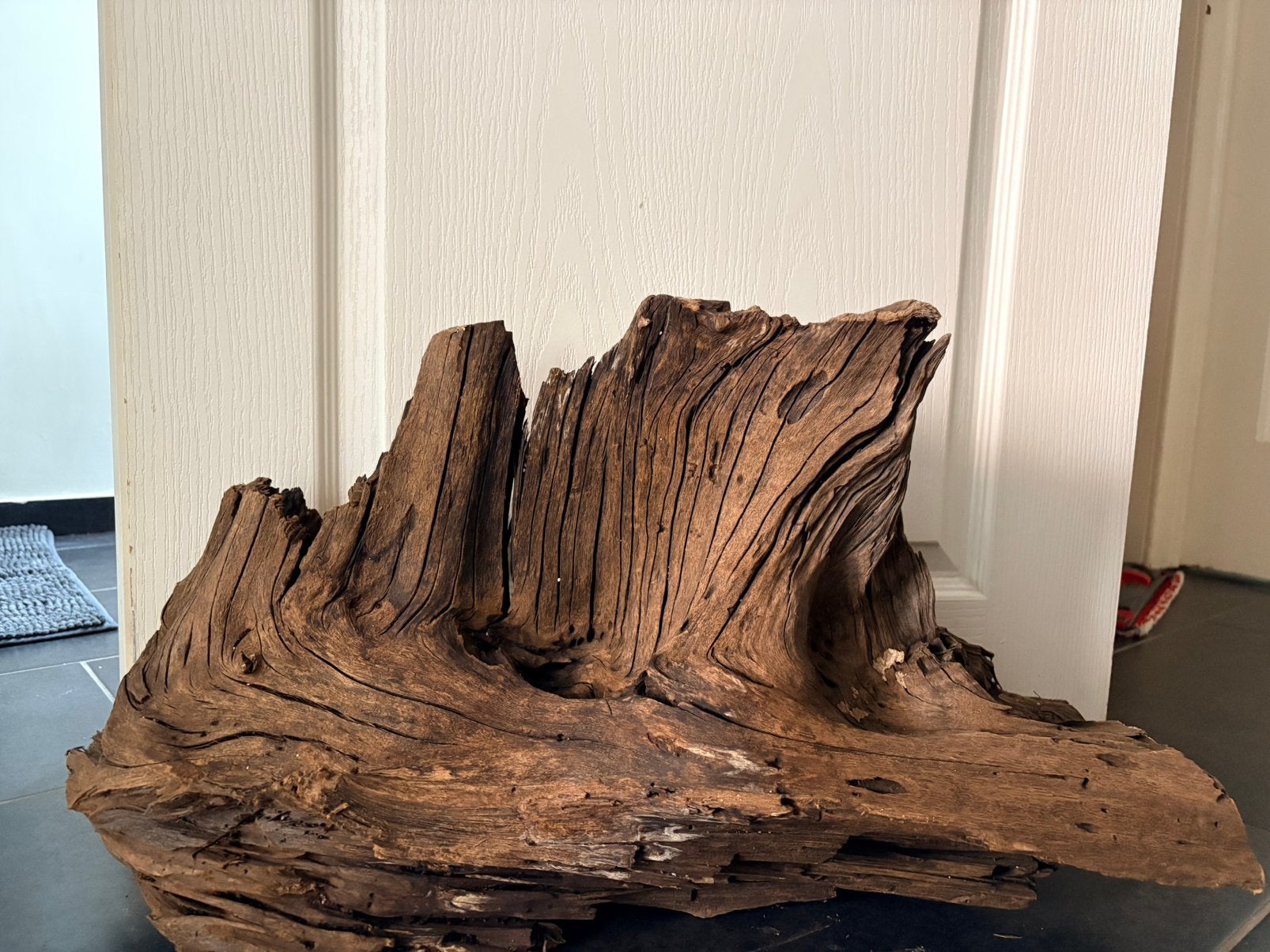 Superbe grosse racines pour aquarium ou terrarium, Animaux & Accessoires, Enlèvement, Comme neuf