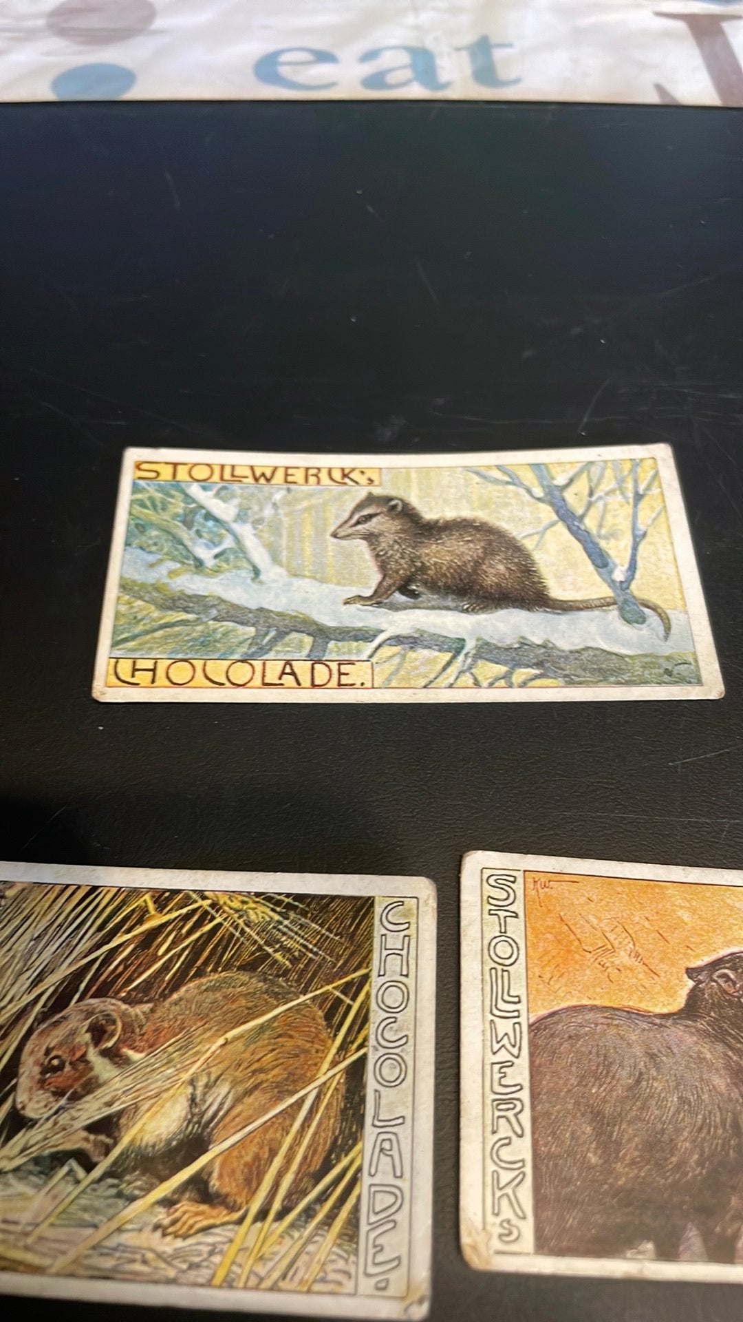 Stollwerck chromo groep 28(x3a), Verzamelen, Gebruikt, Ophalen of Verzenden, 1940 tot 1960, Dier