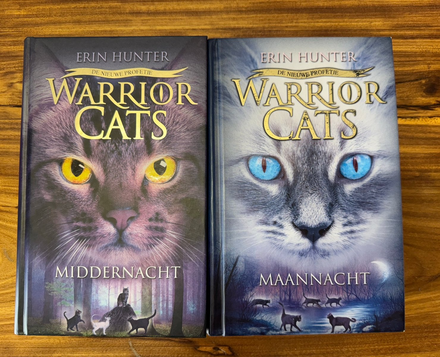 Warrior cats serie II boek 1 en 2, Livres, Fantastique, Comme neuf, Enlèvement