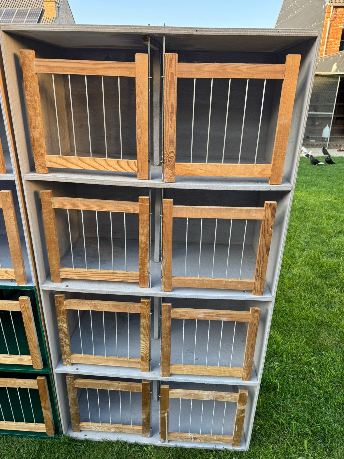 Te koop – kweekbakken / duivenbakken, Dieren en Toebehoren, Vogels | Duiven