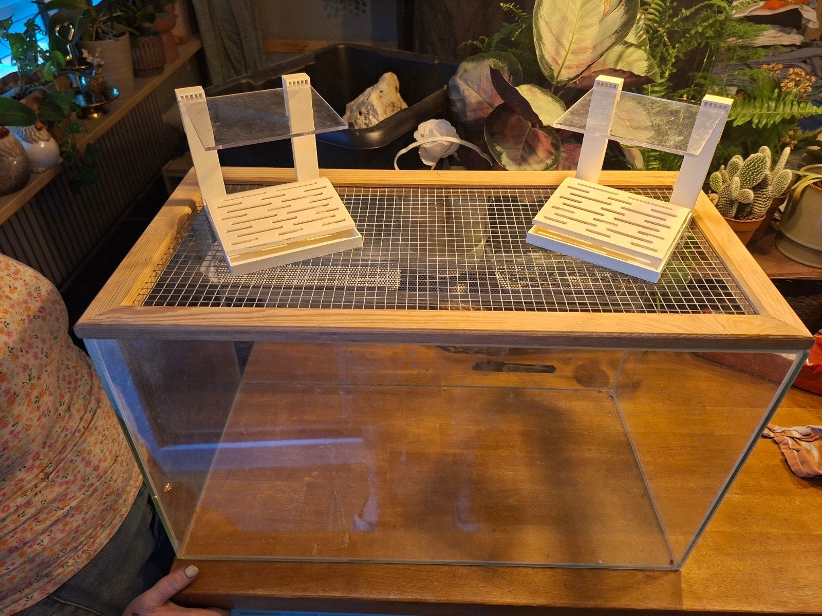 terrarium met alle benodigdheden, Ophalen, Gebruikt, Terrarium of Paludarium