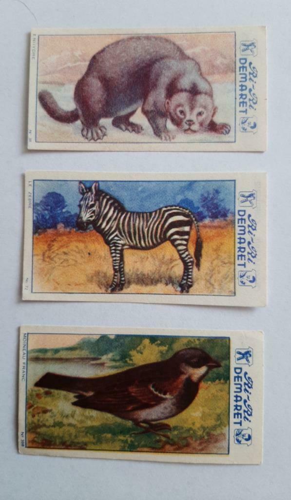 3 chromos afbeeldingen ri-ri demaret dieren perfecte staat, Ophalen of Verzenden