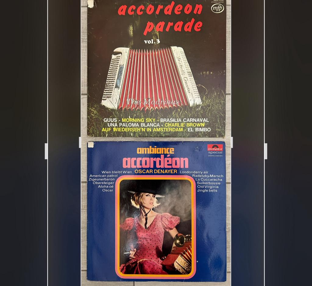 2 vinyl LP’s accordeon met The Madrinas en Oscar Denayer, Ophalen of Verzenden, Gebruikt, 12 inch, Pop