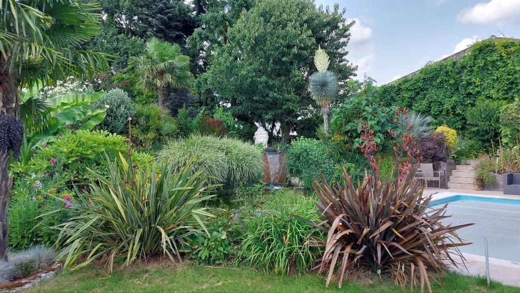 Nieuwzeelands Vlas, Phormium Tenax Variegatum/Purpureum, Jardin & Terrasse, Plantes | Jardin, Été, Enlèvement, Graminées ornementales