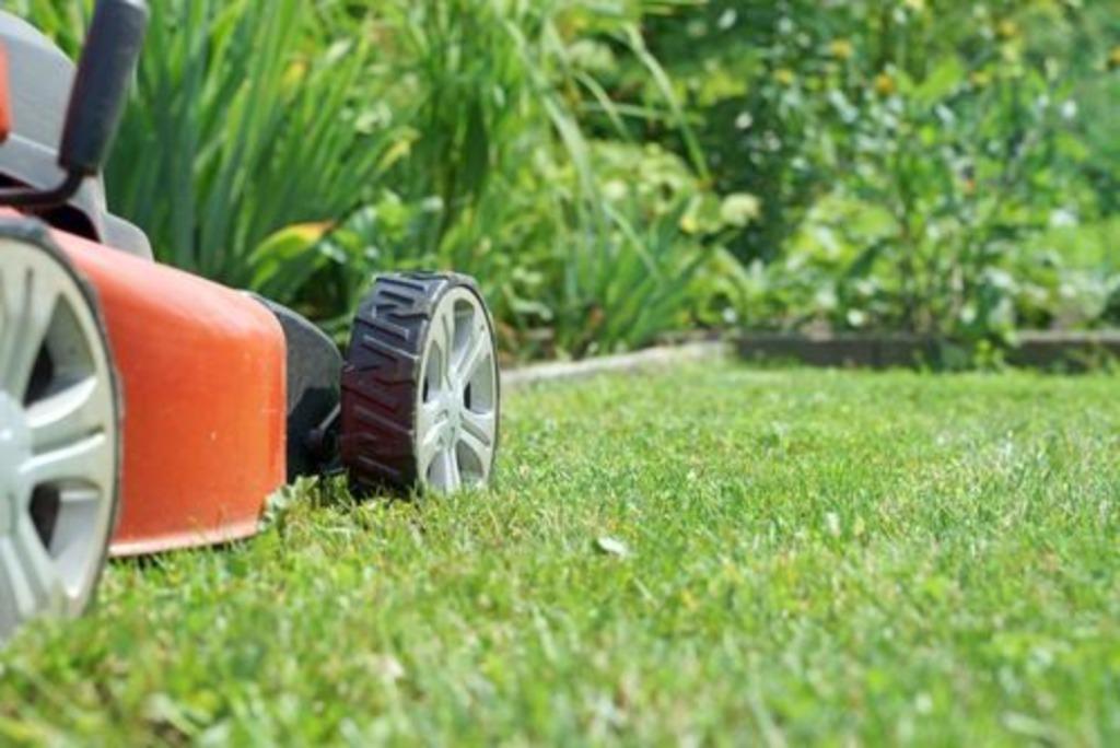 Entretien du jardin à des prix compétitifs, Enlèvement ou Envoi, Utilisé