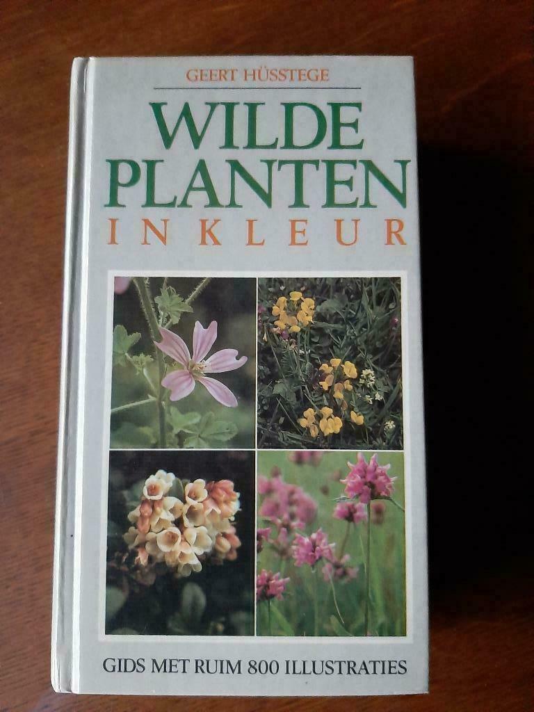 Wilde planten in kleur,688 blz.,800 prenten, Geert Hüsstege, Ophalen of Verzenden, Zo goed als nieuw, Bloemen, Planten en Bomen