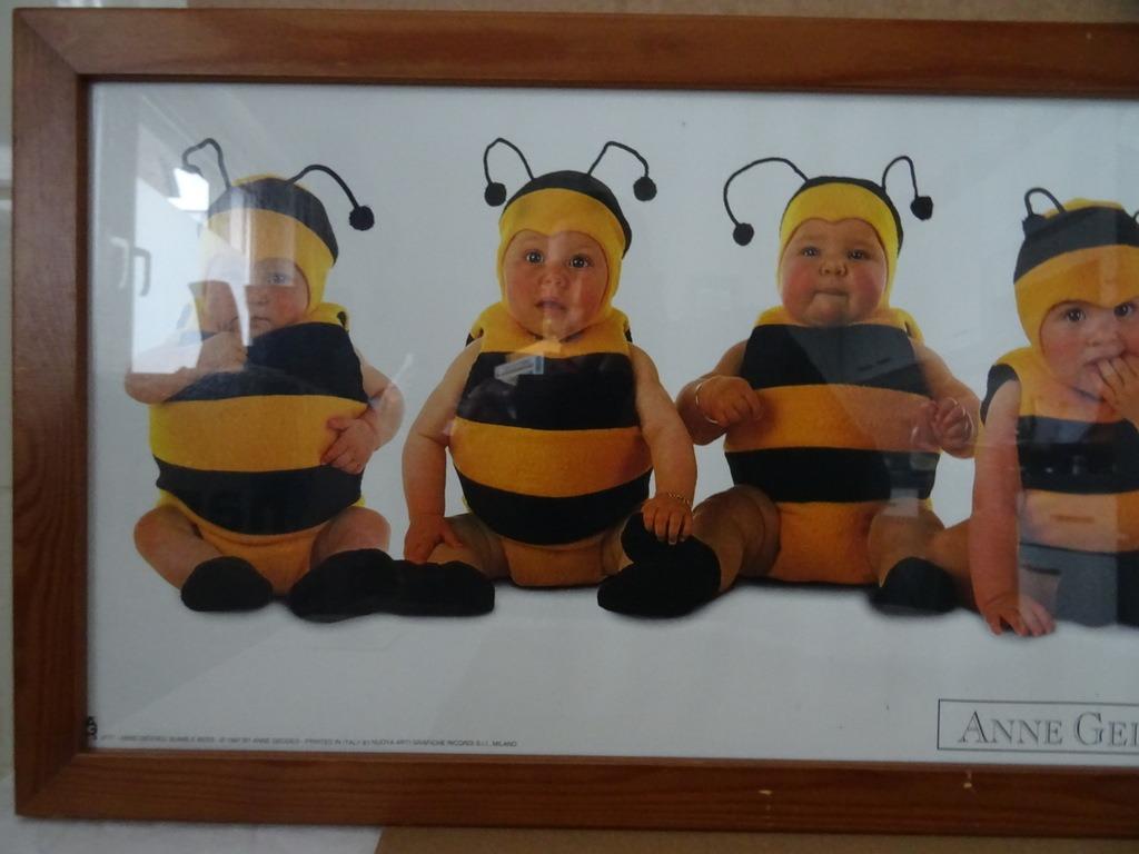 Anne Geddes poster baby's 90x30cm poster Anne Geddes 1997, Verzamelen, Gebruikt, Met lijst, Rechthoekig Liggend, Ophalen of Verzenden