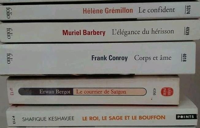 Divers romans, Livres, Romans, Utilisé, Enlèvement ou Envoi