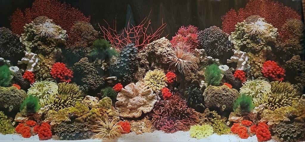 Achterwand aquarium, Dieren en Toebehoren, Ophalen of Verzenden, Zo goed als nieuw