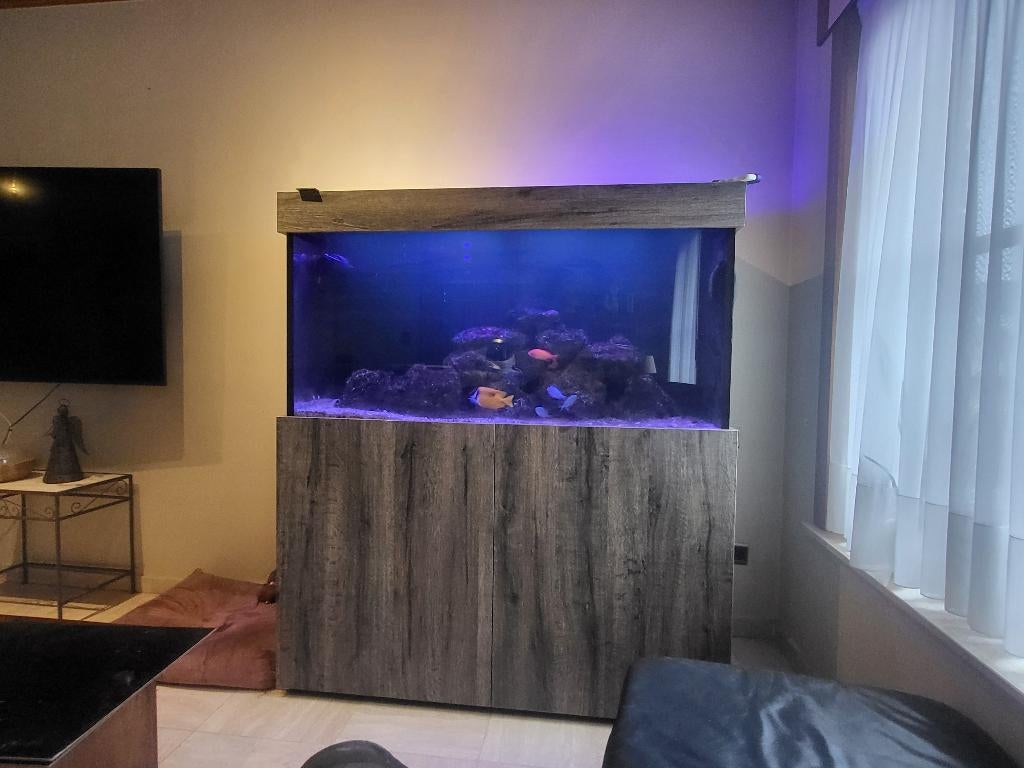 Aquarium 130x60x70, Dieren en Toebehoren, Vissen | Aquaria en Toebehoren, Ophalen, Gebruikt, Gevuld zeewateraquarium