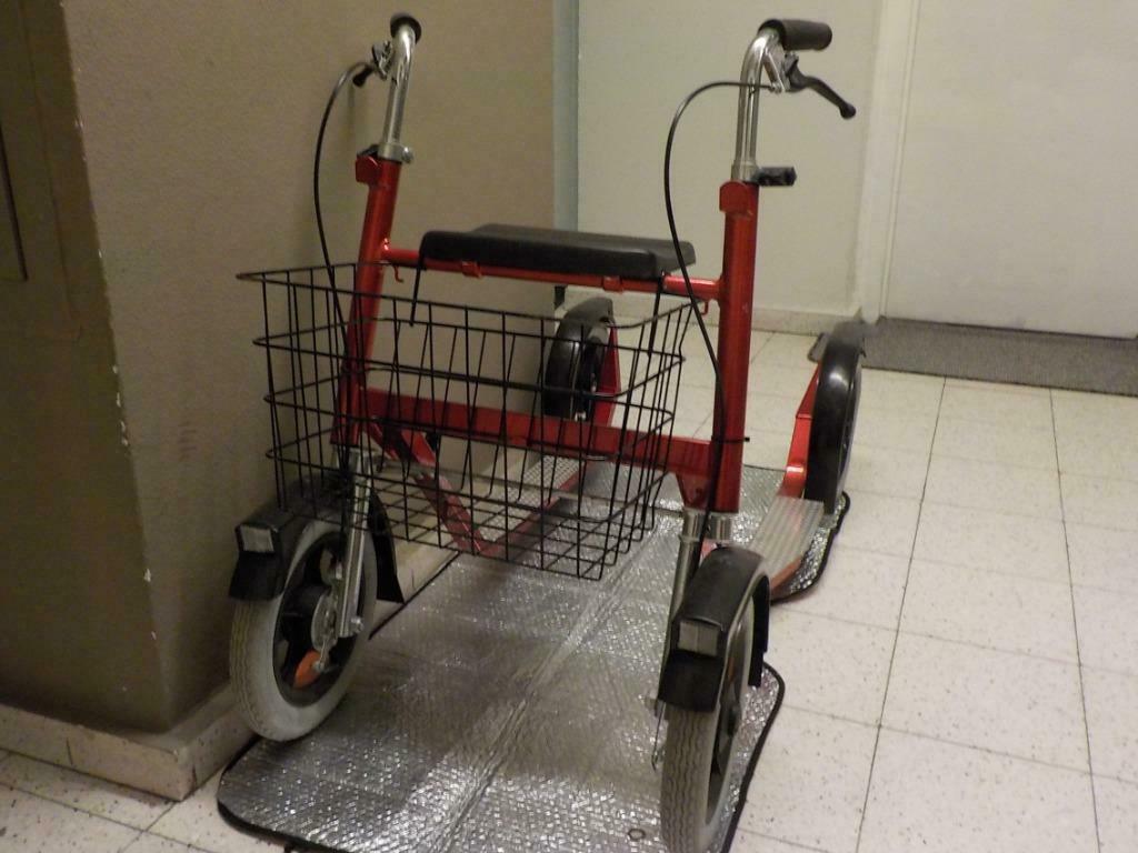 kickcycle uit Finland, Fietsen en Brommers, Ophalen, Zo goed als nieuw, Kickbike, Esla