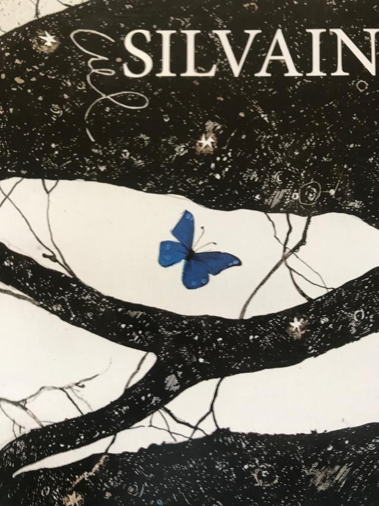 Christian Silvain schilderijen 30pag, Boeken, Ophalen of Verzenden, Zo goed als nieuw, Schilder- en Tekenkunst