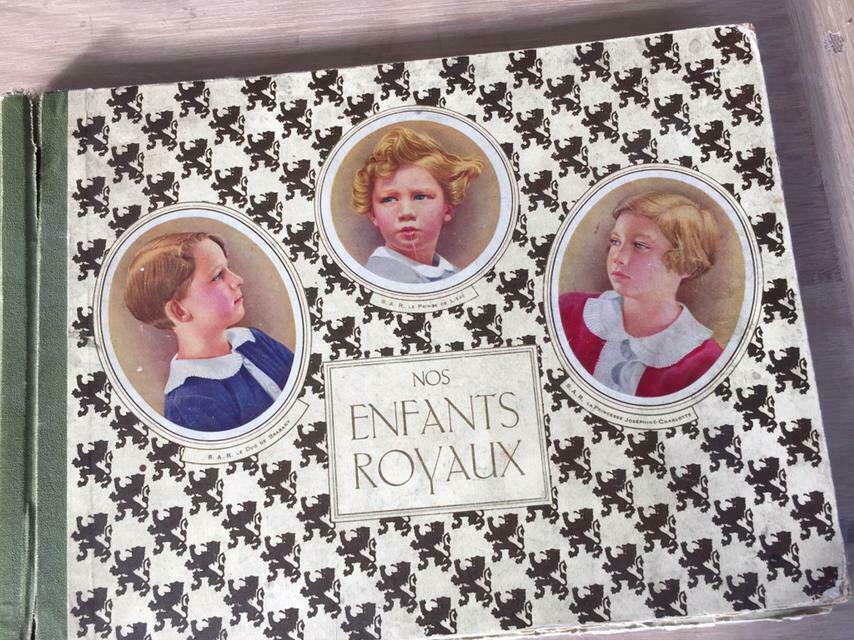 Album & chromos "Onze Koninklijke Kinderen", Verzamelen, Ophalen of Verzenden, Gebruikt, Tijdschrift of Boek