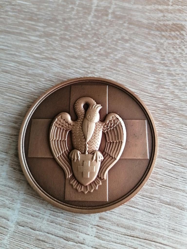 verzamelaars! Bronzen medaille, Postzegels en Munten, Penningen en Medailles, Ophalen, Brons