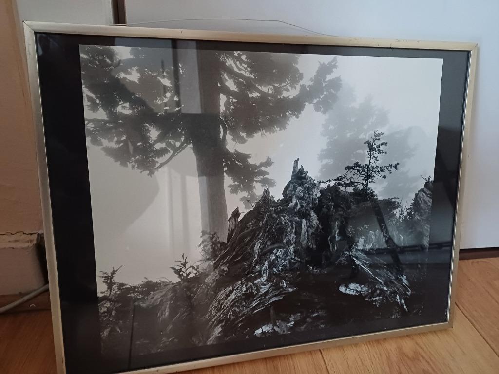 Kader zwart wit, Antiek en Kunst, Ophalen