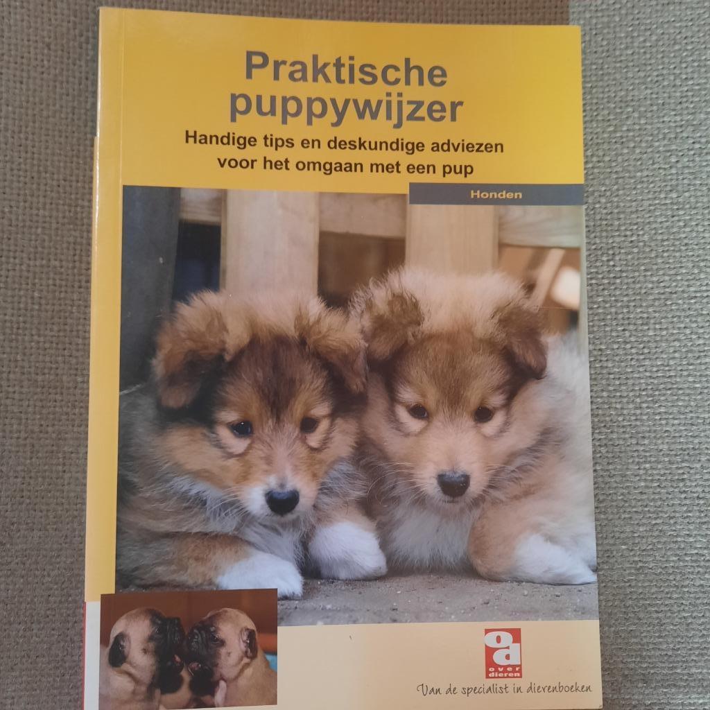 PRAKTISCHE PUPPYWIJZER, Enlèvement ou Envoi, Chiens