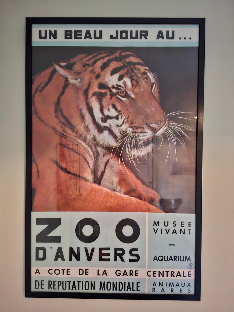 Affiche Zoo van Antwerpen, franstalig, jaren 60 prima staat., Enlèvement
