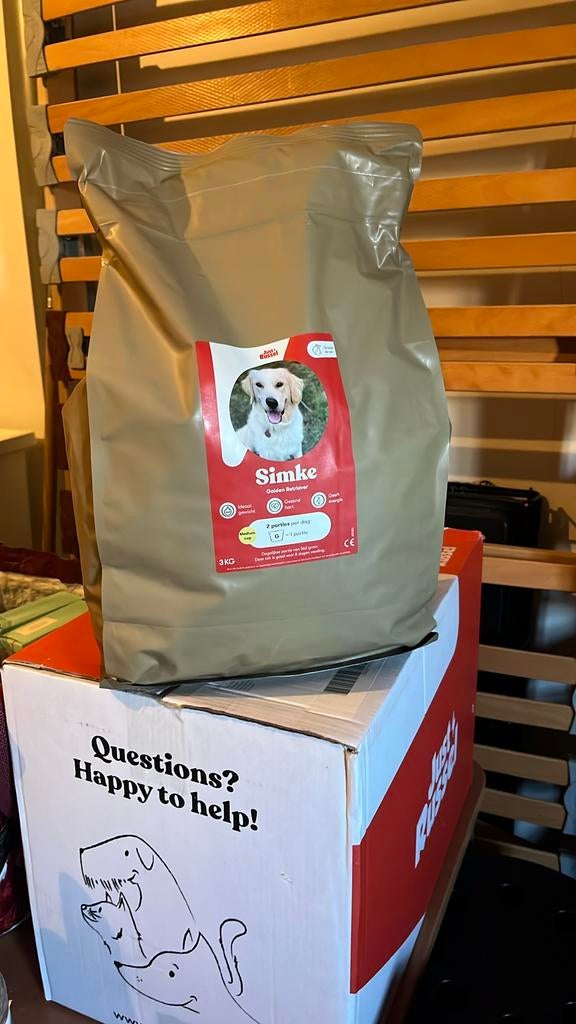 Hondenvoeding just russel golden retriever Enkel ophale, Enlèvement, Chien