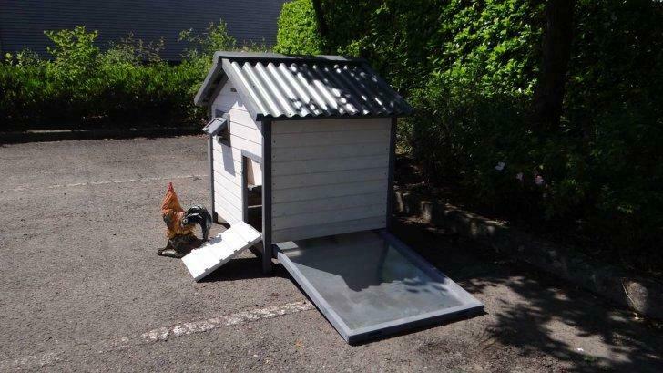 Poulailler abri poule caille XXL neuf moderne TOIT PVC, Dieren en Toebehoren, Pluimvee | Toebehoren, Nieuw, Kippenhok of Kippenren