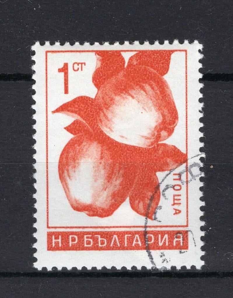 BULGARIJE Yt. 1364 gestempeld 1965, Ophalen of Verzenden, Bulgarije, Gestempeld
