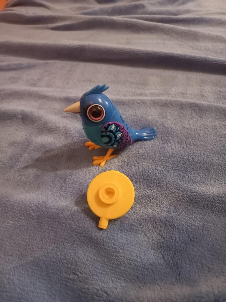 Digibirds, Ophalen