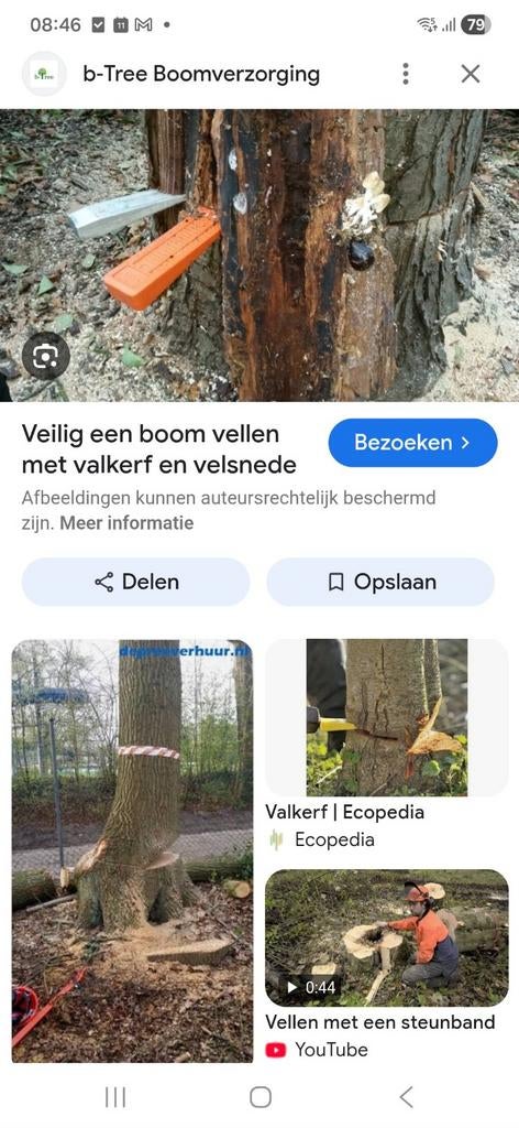 Vellen van bomen., Ophalen, Takken
