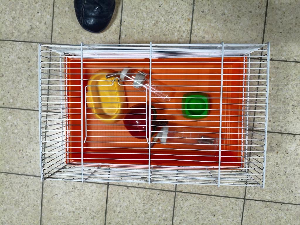 Cage pou hamsters et souris avec accessoires., Souris, Moins de 60 cm, Cage, Comme neuf