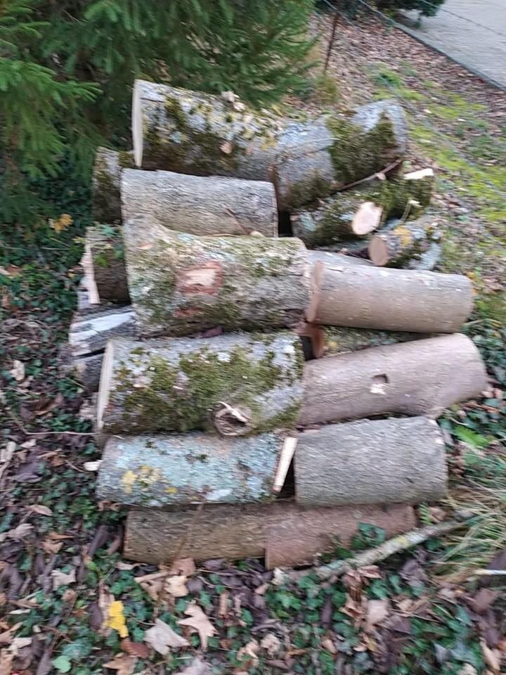 Bois de chauffage frêne 3 stères en 60 cm, Jardin & Terrasse, Bois de chauffage, Enlèvement, Frêne