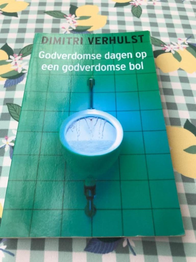 Boek : Godverdomse dagen op een godverdomse bol /Dimitri Ver, Ophalen, Gelezen